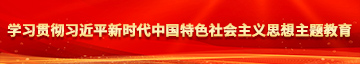 操老女人BB学习贯彻习近平新时代中国特色社会主义思想主题教育